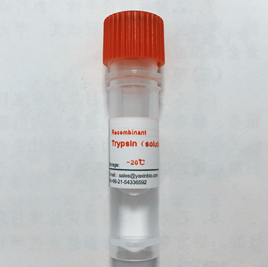 重組胰蛋白酶(液體)藥典級RPT0204