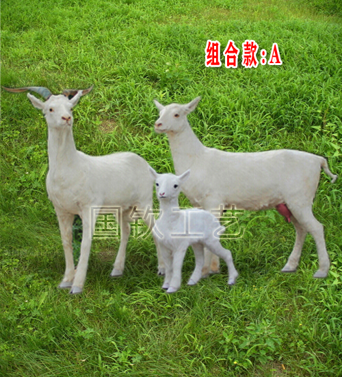 奶山羊標本羊奶粉店招動物模型標本真羊皮制作仿真山羊